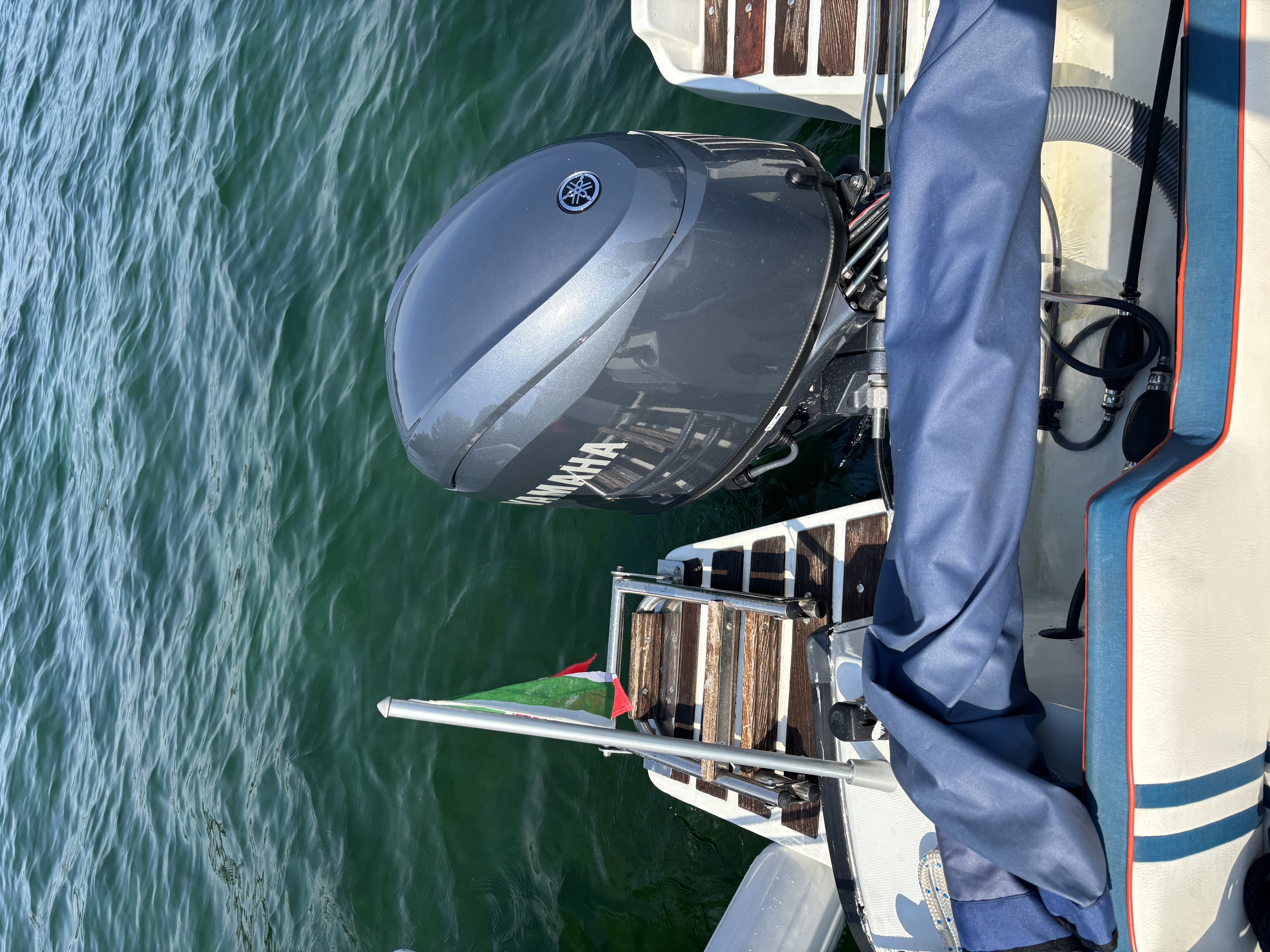 Yamaha 40HP engine